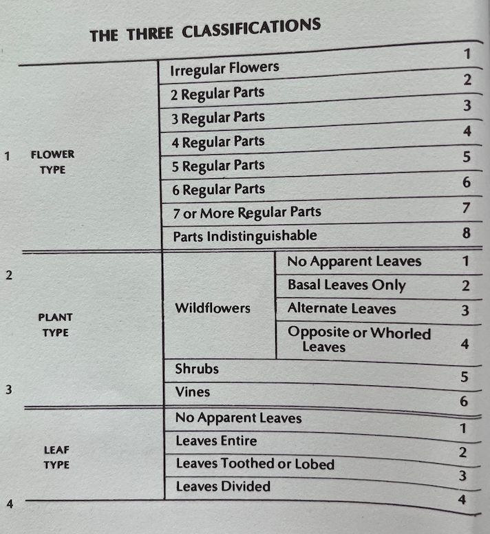 Wildflower's Movement Guide